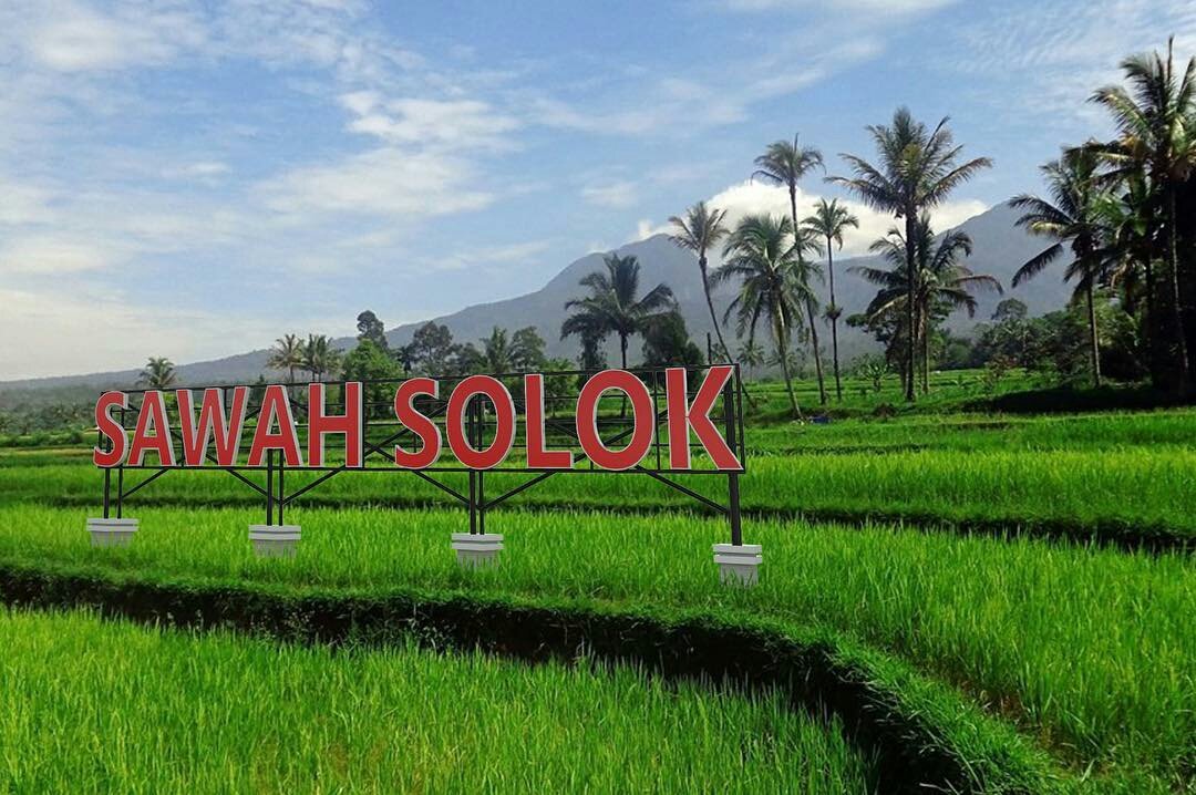 Sawah Solok Aerial